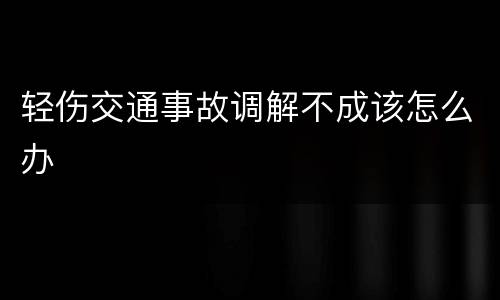 轻伤交通事故调解不成该怎么办