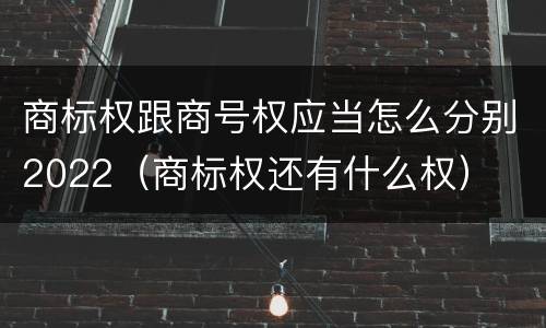 商标权跟商号权应当怎么分别2022（商标权还有什么权）