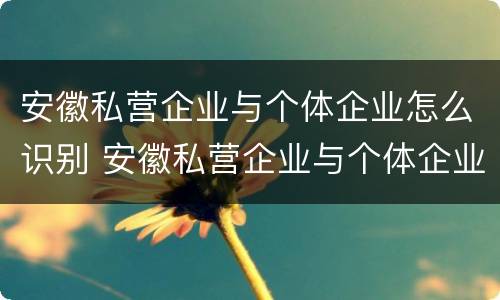 安徽私营企业与个体企业怎么识别 安徽私营企业与个体企业怎么识别关系
