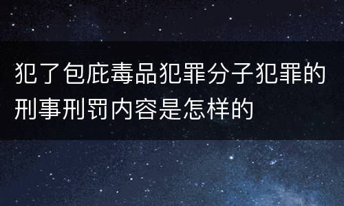 犯了包庇毒品犯罪分子犯罪的刑事刑罚内容是怎样的