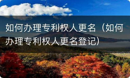 如何办理专利权人更名（如何办理专利权人更名登记）