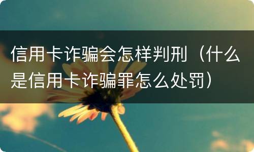 信用卡诈骗会怎样判刑（什么是信用卡诈骗罪怎么处罚）