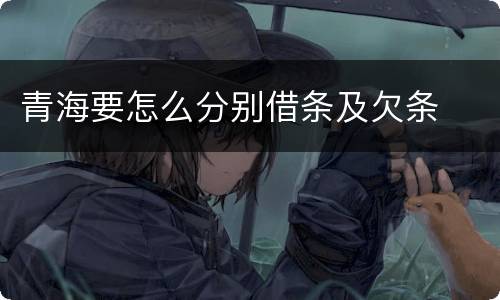 青海要怎么分别借条及欠条