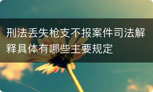 刑法丢失枪支不报案件司法解释具体有哪些主要规定