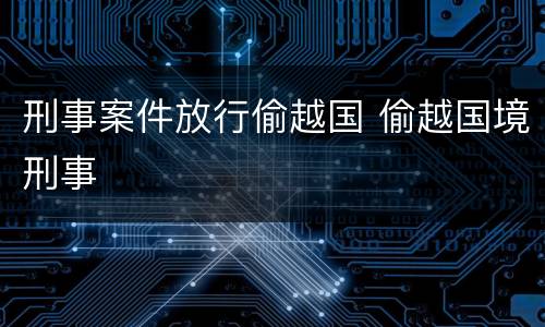 刑事案件放行偷越国 偷越国境刑事