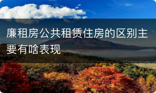 廉租房公共租赁住房的区别主要有啥表现