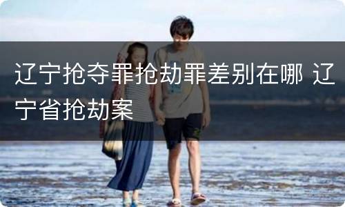 辽宁抢夺罪抢劫罪差别在哪 辽宁省抢劫案