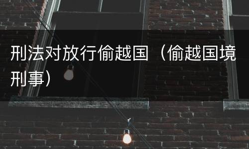 刑法对放行偷越国（偷越国境刑事）