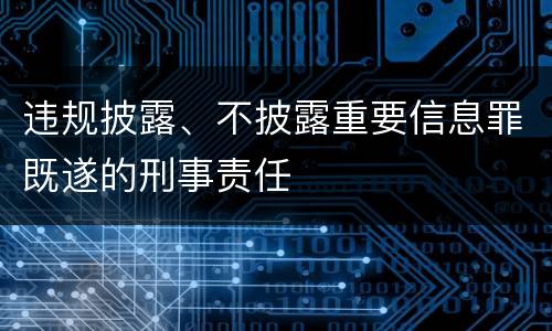 违规披露、不披露重要信息罪既遂的刑事责任