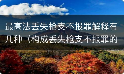 最高法丢失枪支不报罪解释有几种（构成丢失枪支不报罪的是）