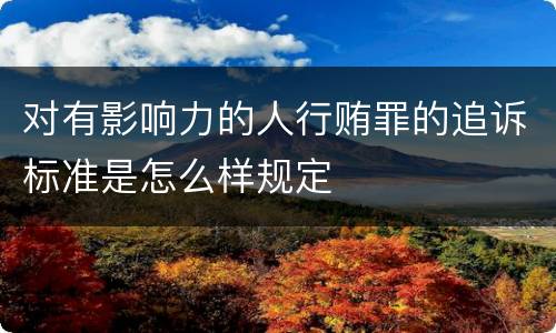 对有影响力的人行贿罪的追诉标准是怎么样规定
