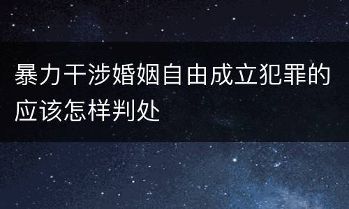 暴力干涉婚姻自由成立犯罪的应该怎样判处