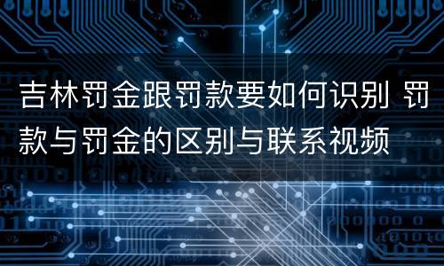 吉林罚金跟罚款要如何识别 罚款与罚金的区别与联系视频