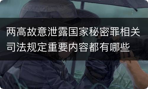 两高故意泄露国家秘密罪相关司法规定重要内容都有哪些