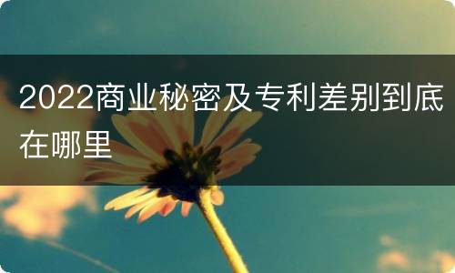 2022商业秘密及专利差别到底在哪里