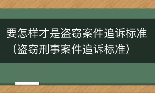 要怎样才是盗窃案件追诉标准（盗窃刑事案件追诉标准）