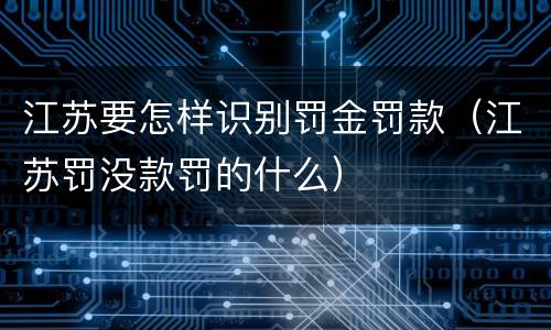 江苏要怎样识别罚金罚款(江苏罚没款罚的什么)