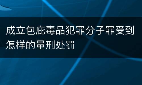 成立包庇毒品犯罪分子罪受到怎样的量刑处罚