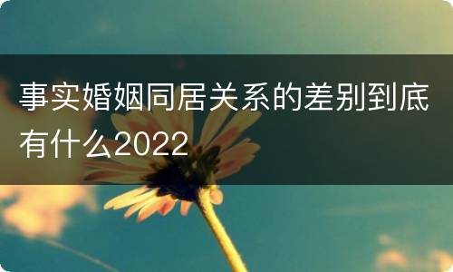 事实婚姻同居关系的差别到底有什么2022