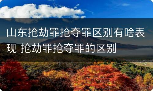 山东抢劫罪抢夺罪区别有啥表现 抢劫罪抢夺罪的区别