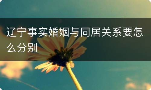 辽宁事实婚姻与同居关系要怎么分别