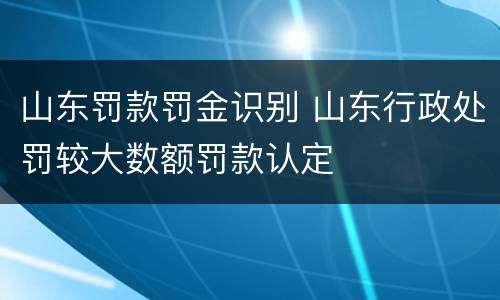 山东罚款罚金识别 山东行政处罚较大数额罚款认定