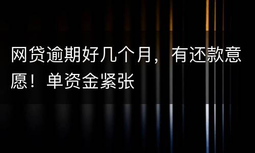 网贷逾期好几个月，有还款意愿！单资金紧张