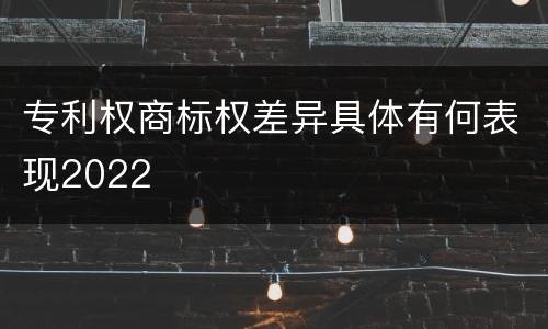 专利权商标权差异具体有何表现2022