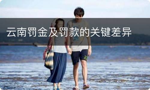 云南罚金及罚款的关键差异