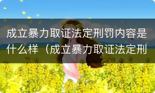 成立暴力取证法定刑罚内容是什么样（成立暴力取证法定刑罚内容是什么样子的）