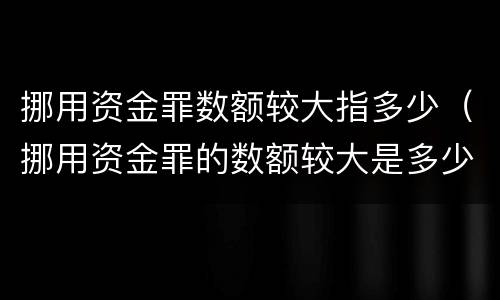 挪用资金罪数额较大指多少（挪用资金罪的数额较大是多少）