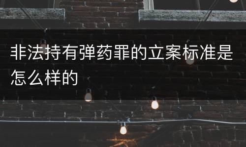 非法持有弹药罪的立案标准是怎么样的