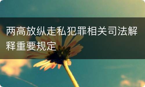 两高放纵走私犯罪相关司法解释重要规定