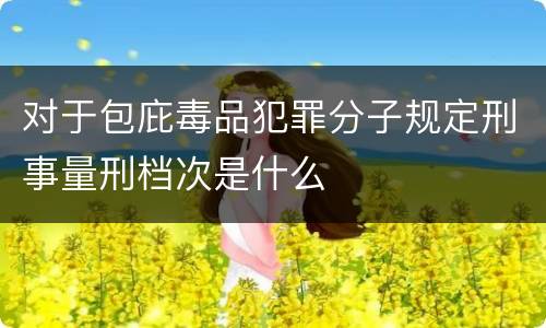 对于包庇毒品犯罪分子规定刑事量刑档次是什么