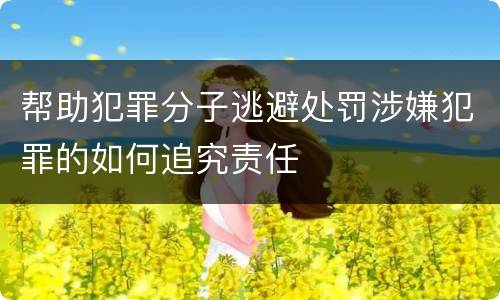 帮助犯罪分子逃避处罚涉嫌犯罪的如何追究责任