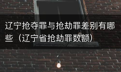 辽宁抢夺罪与抢劫罪差别有哪些（辽宁省抢劫罪数额）