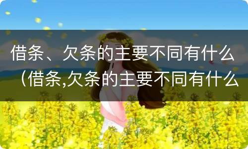 借条、欠条的主要不同有什么（借条,欠条的主要不同有什么不一样）