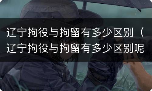 辽宁拘役与拘留有多少区别（辽宁拘役与拘留有多少区别呢）