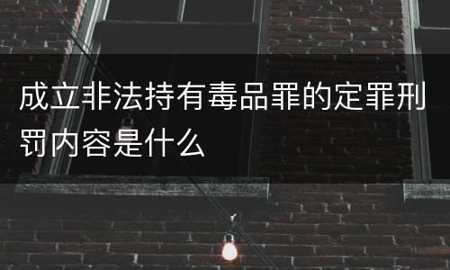 成立非法持有毒品罪的定罪刑罚内容是什么