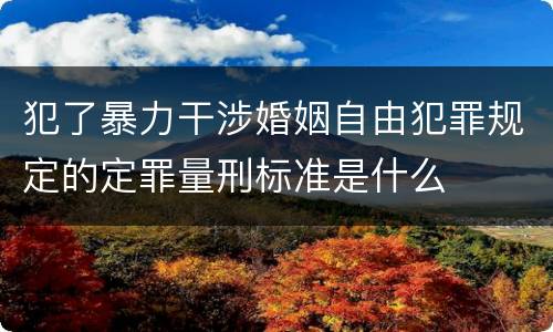犯了暴力干涉婚姻自由犯罪规定的定罪量刑标准是什么