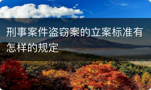 刑事案件盗窃案的立案标准有怎样的规定