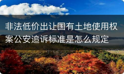 非法低价出让国有土地使用权案公安追诉标准是怎么规定