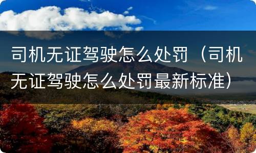 司机无证驾驶怎么处罚（司机无证驾驶怎么处罚最新标准）
