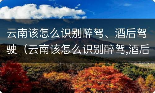 云南该怎么识别醉驾、酒后驾驶（云南该怎么识别醉驾,酒后驾驶的人）