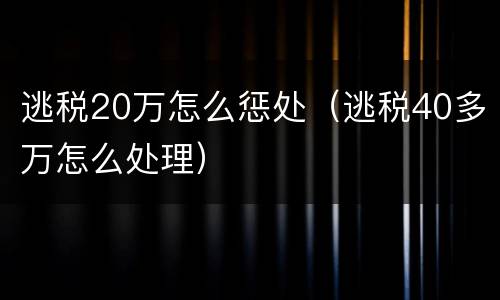 逃税20万怎么惩处（逃税40多万怎么处理）