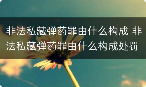 非法私藏弹药罪由什么构成 非法私藏弹药罪由什么构成处罚