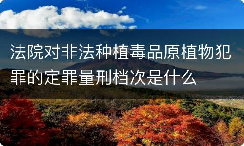 法院对非法种植毒品原植物犯罪的定罪量刑档次是什么