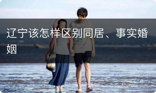 辽宁该怎样区别同居、事实婚姻