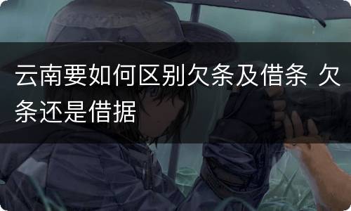 云南要如何区别欠条及借条 欠条还是借据