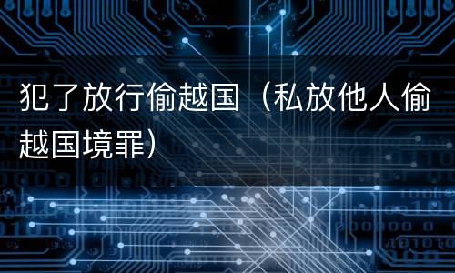 犯了放行偷越国（私放他人偷越国境罪）